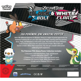Black Bolt & White Flare - Unova Poster Collection