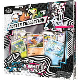 Black Bolt & White Flare - Unova Poster Collection