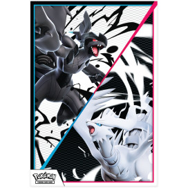 Black Bolt & White Flare - Unova Poster Collection