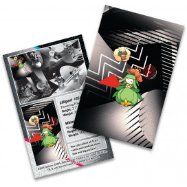 Black Bolt & White Flare - Unova Mini Tin (Lilligant)