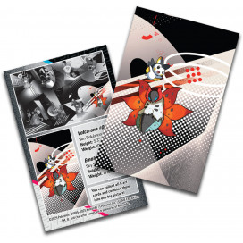 Black Bolt & White Flare - Unova Mini Tin (Volcarona)