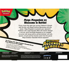 Ascended Heroes - Meganium ex Box