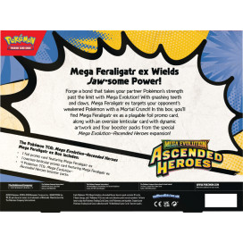 Ascended Heroes - Feraligatr ex Box