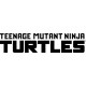 Teenage Mutant Ninja Turtles